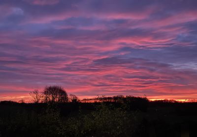 Tårup billeder