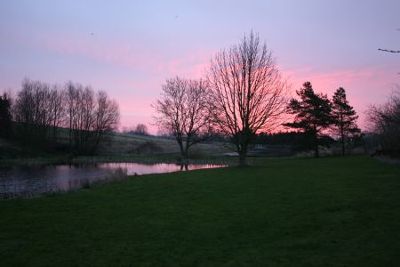 2007 brandgaden