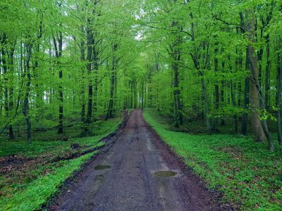 offforar taruplunde
